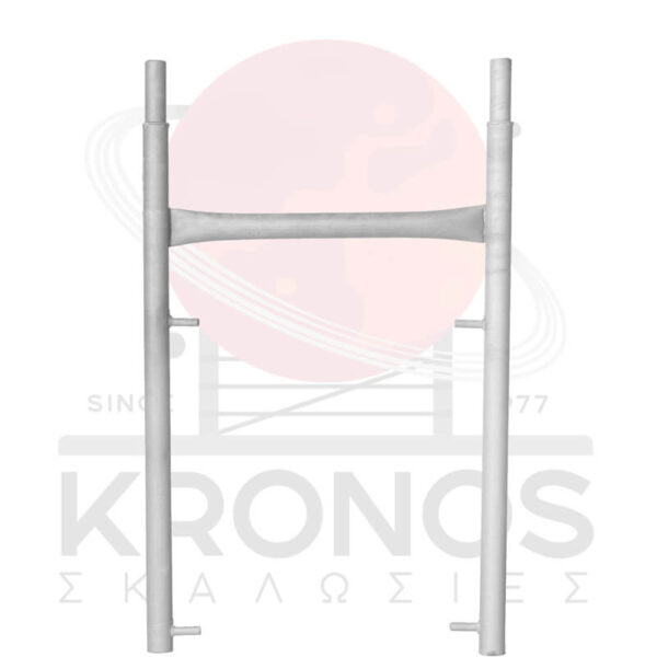 Plaisio1mStenoProsops