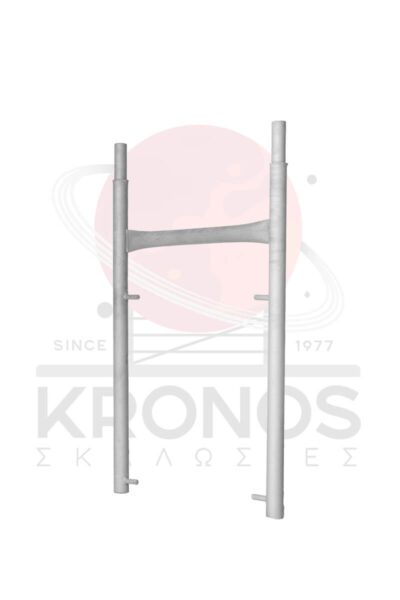 Plaisio1mStenoProsops2