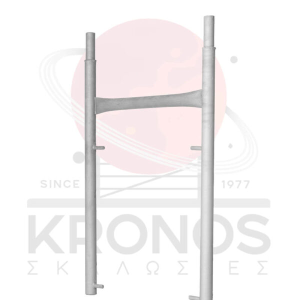 Plaisio1mStenoProsops2