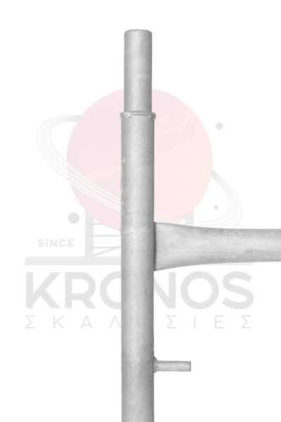 Plaisio1mStenoProsops3