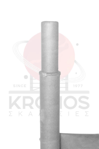 Plaisio1mStenoProsops4