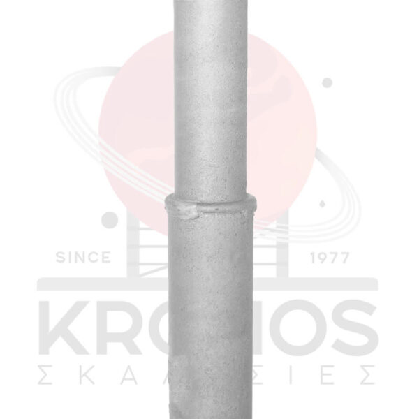 Plaisio1mStenoProsops4