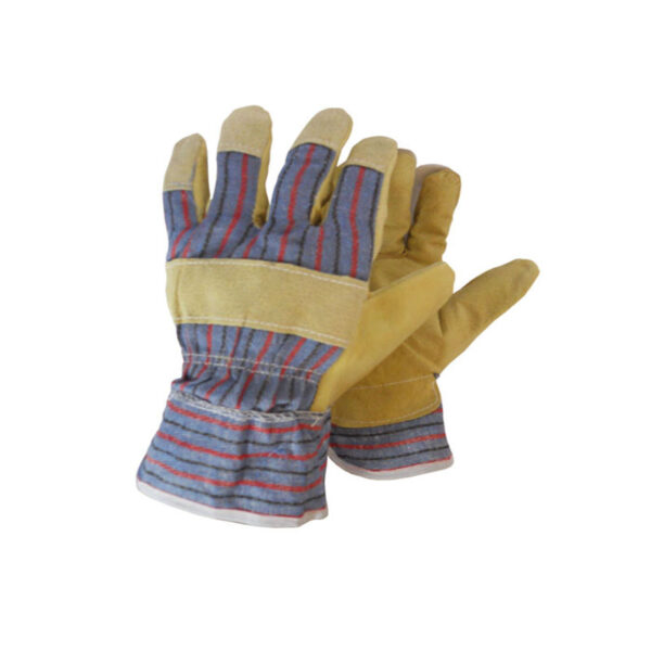 gantia-dermatopanina-riges