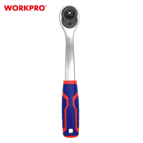 kastania_skalosies_kronos_ACESA_(72T)_WP271012_WORKPRO_3