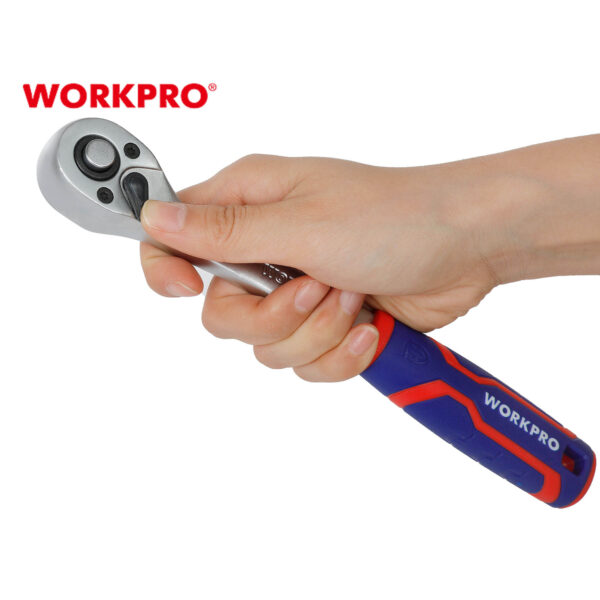 kastania_skalosies_kronos_ACESA_(72T)_WP271012_WORKPRO_4