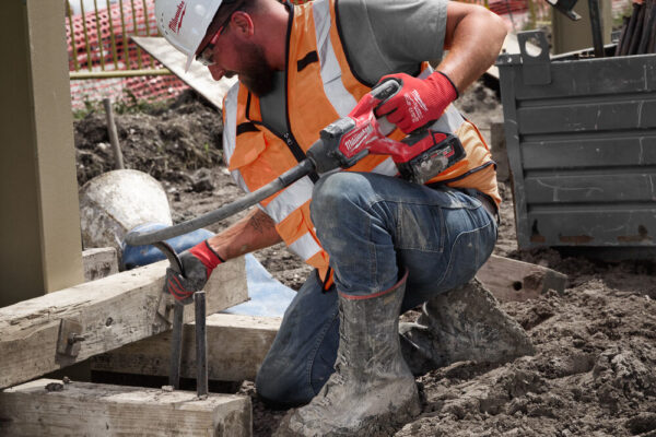 donitis_ skirodematos_M18_FCVN24-551_MW_16