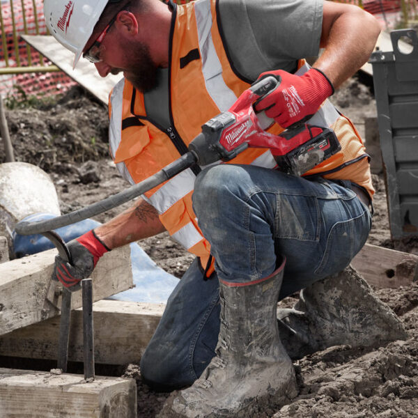 donitis_ skirodematos_M18_FCVN24-551_MW_16