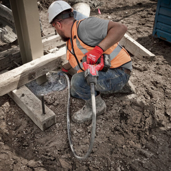 donitis_ skirodematos_M18_FCVN24-551_MW_9